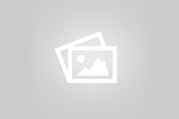 امکانات لوکس (VIP) و ارتقاء تجربه اقامت حیوان